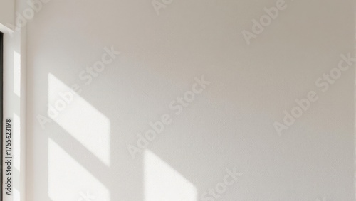 Sunlight casts soft shadows on a plain white wall next to a window