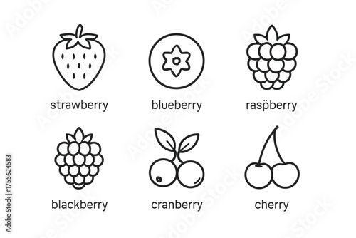 Outline icons of strawberry, blueberry, raspberry, blackberry, cranberry, cherry