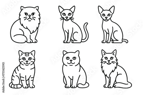 Variety of cat line art illustrations featuring six unique breeds in minimalist style