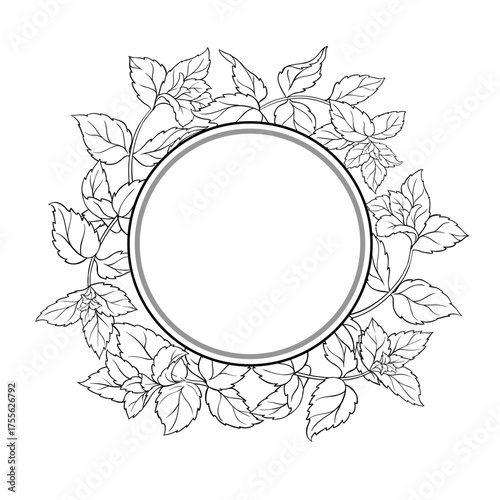Peppermint Branch with Leaves Outline Round Frame. Essential oil ingredient for cosmetics, spa, aromatherapy, health care, alternative medicine. Vector isolated for design or decoration.