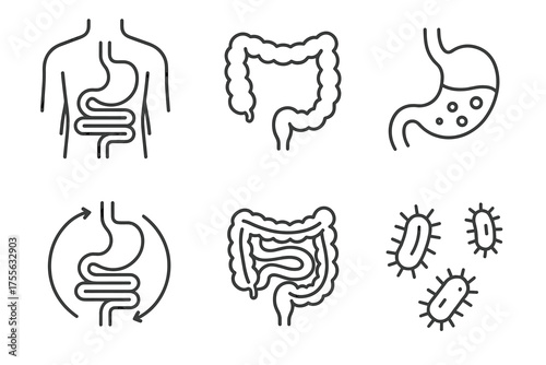 Simple line art illustrations of digestive system components and bacteria