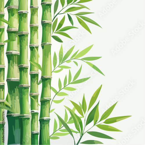 Green bamboo stalks and leaves on white background vector illustration