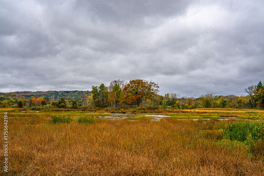 Fototapeta premium Autumn Landscape with Trees and Clouds