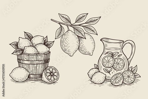 Lemon set with pitcher and bucket vintage engraving vector illustration