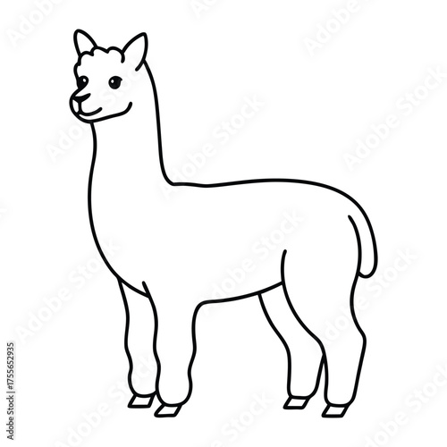 A line art drawing of a white alpaca standing sideways