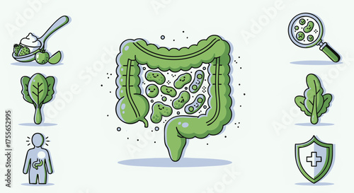 Set of line icons illustrating gut health concepts, including the intestinal microbiome, probiotics, and digestive wellness