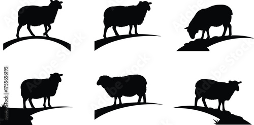 Sheep silhouette collection, grazing sheep on grassy hills, farm animal vector art, livestock illustration, countryside nature design, wool farming concept