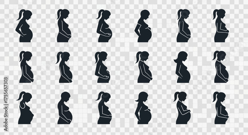 Silhouetted representations of a pregnant woman's body throughout the stages of gestation.