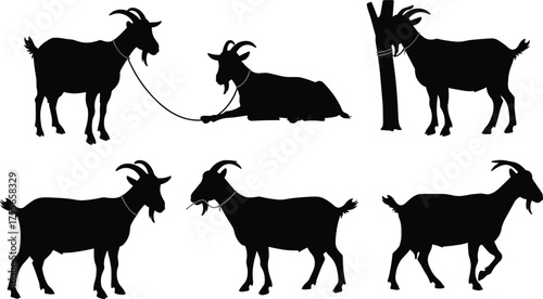 Black goat silhouettes standing, lying, tethered with rope, farm livestock illustration, animal husbandry concept, rural agriculture, domestic animals vector art
