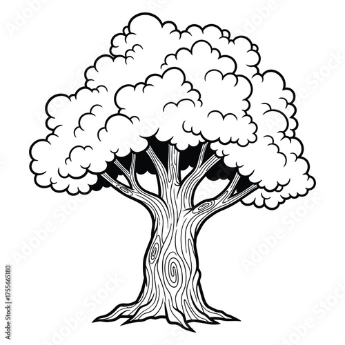 Black and white illustration of a large mature tree with a thick trunk and full canopy