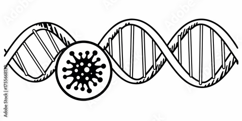 A black and white line drawing of a dna strand with a virus particle in a circle near the helix