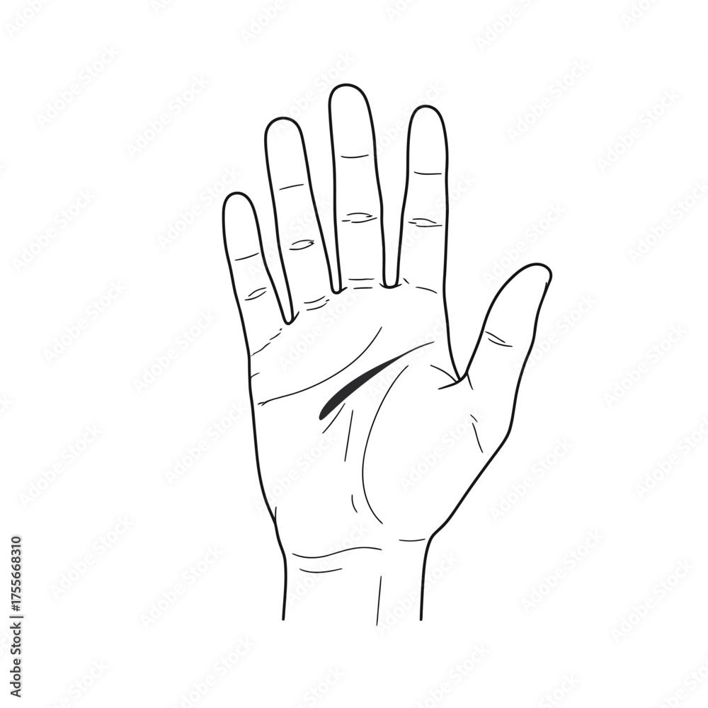 Obraz premium A detailed line drawing of an open hand with visible palm lines, isolated on white background, representing fate, fortune, and the art of palmistry reading
