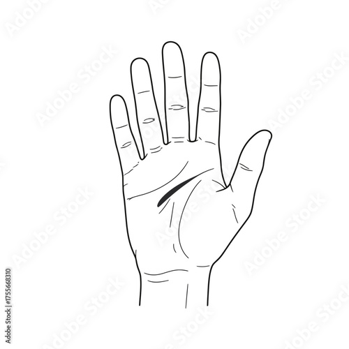 A detailed line drawing of an open hand with visible palm lines, isolated on white background, representing fate, fortune, and the art of palmistry reading