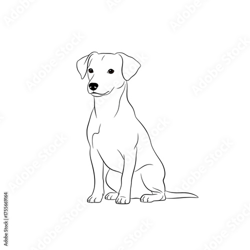 A cute dog is sitting and looking forward, isolated on white background the image is a simple line drawing style illustration