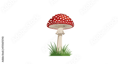 A beautiful red and white spotted mushroom grows in the green grass.