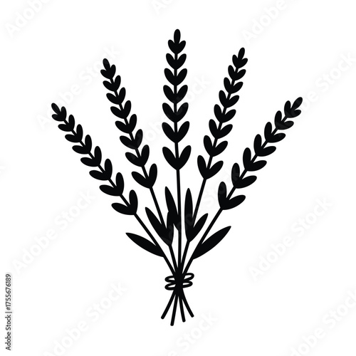 Simple black silhouette of a bunch of lavender stems tied together