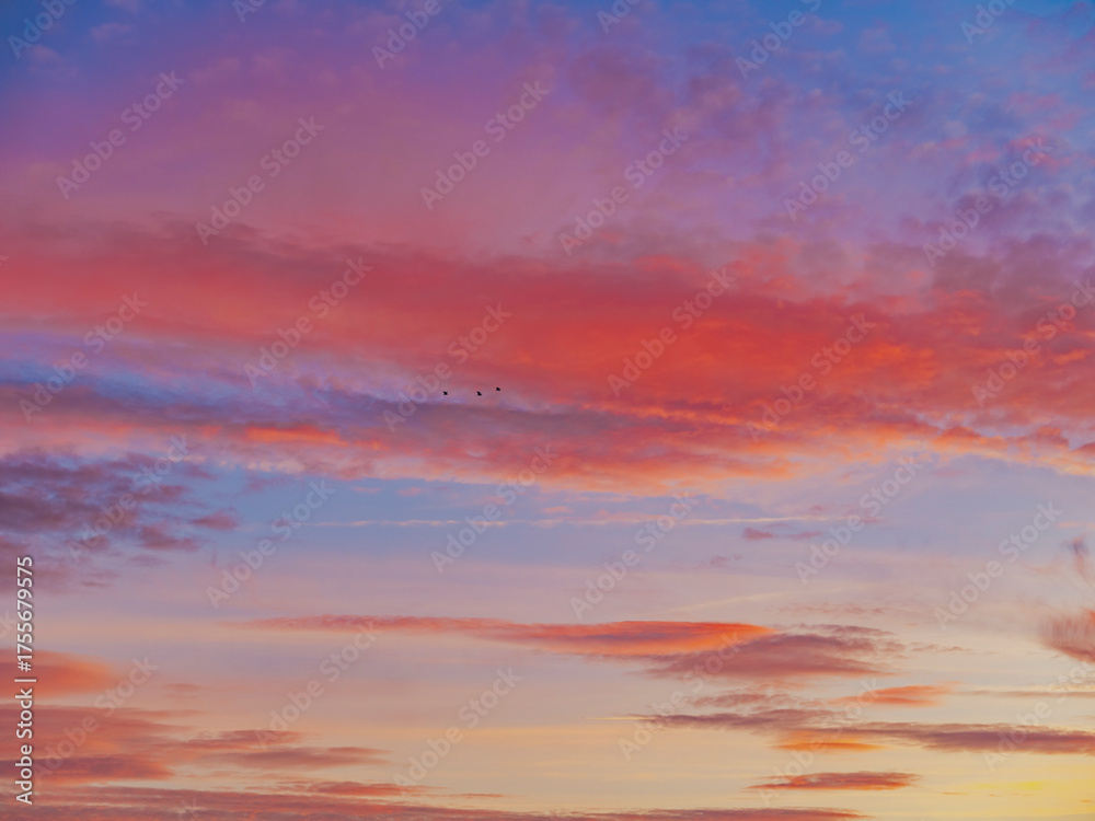 Fototapeta premium colorful sunset clouds, summer time