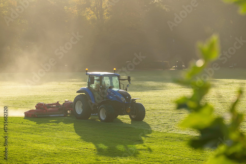 Fototapeta Tractor lawnmower cutting wet grass in park at dawn