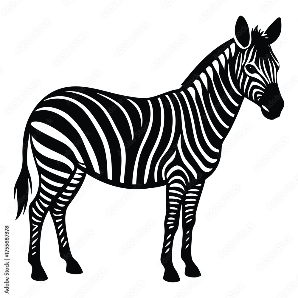 Fototapeta premium Majestic zebra standing profile view iconic black and white stripes wildlife animal vector