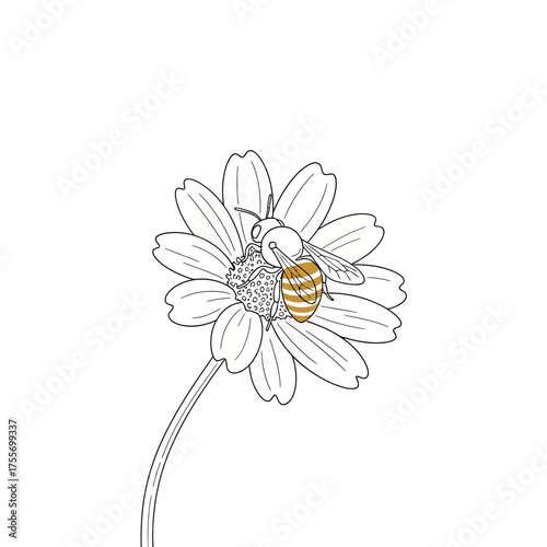A charming illustration of a bee gracefully perched on a daisy, isolated on white background, rendered in a delicate line art style with subtle color accents