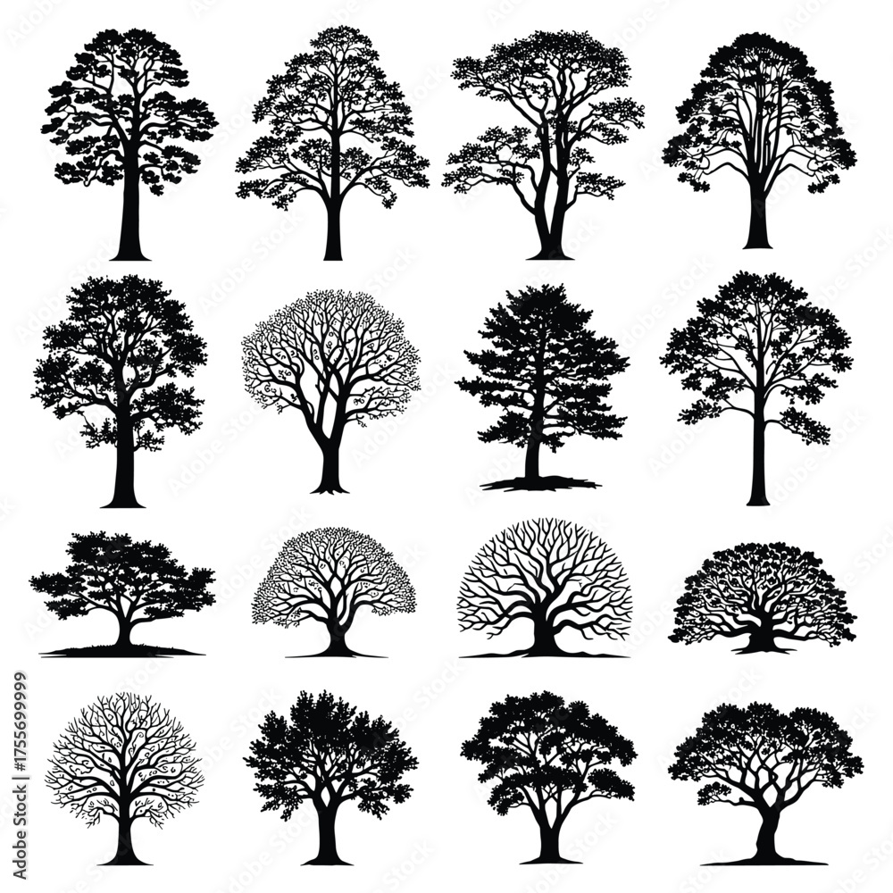 Obraz premium A collection of diverse tree illustrations showcasing various shapes and leaf patterns for design elements.