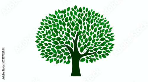 Stylized tree with a full, rounded crown of leaves