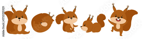 vector illustration of adorable squirrels displaying different emotions and activities, including playing, resting, and interacting. Ideal for nature and animal themes.