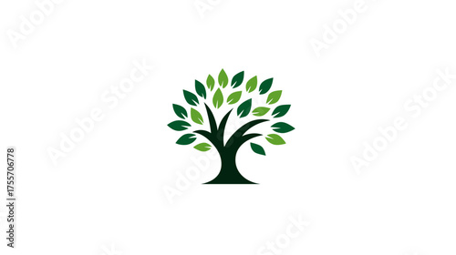 Tree with rounded crown and simple dark trunk, green leaves pattern