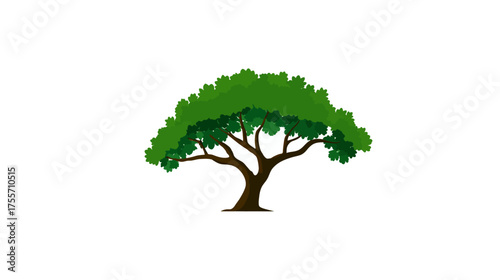 Cartoon tree with green canopy and brown trunk on a white background