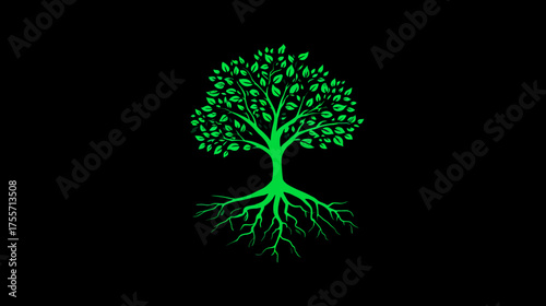 Vivid green tree with roots against a black background