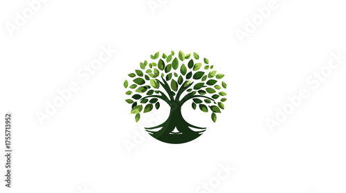 Rounded tree with dense green leaves