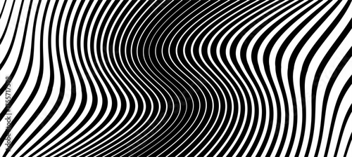 Wavy Curved Striped halftone gradation texture. Gradient Transition Lattice. Fading Black and white line background. Vector distorted lines backdrop. Optical illusion effect. Zebra Pattern. Not AI