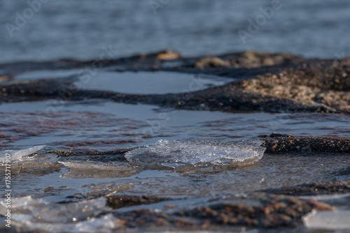 WINTER ON THE SEA COAST - Seawater and ice on the shoreline