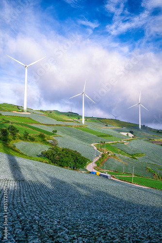 Clean energy meets agriculture in a stunning summer sunrise scene in Taebaek, Gangwon Province, South Korea.