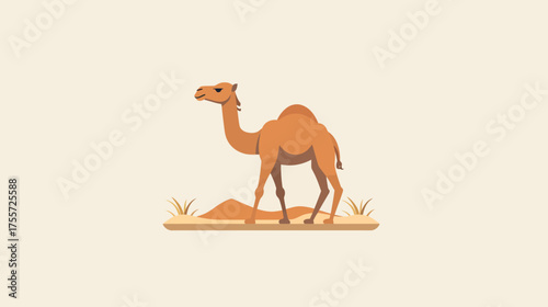 A stylized, one-humped camel stands on sandy terrain with dry grass