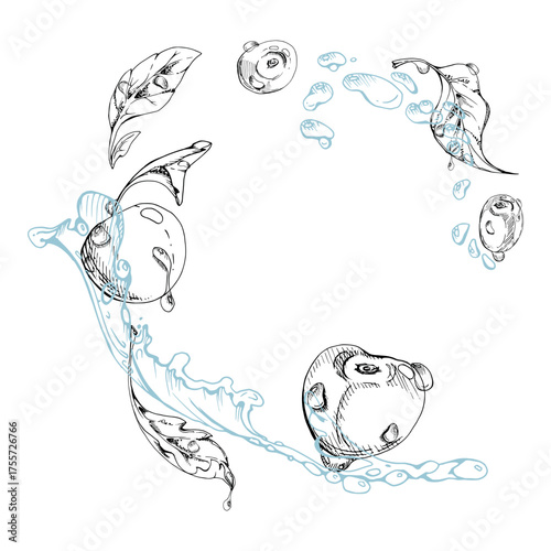 Sweet sour cherry cerise flying in water splashes drops, hand drawn vector ink, ripe line garden berry and leaves. Isolated composition illustration. Restaurant cafe menu, farmers market, wedding