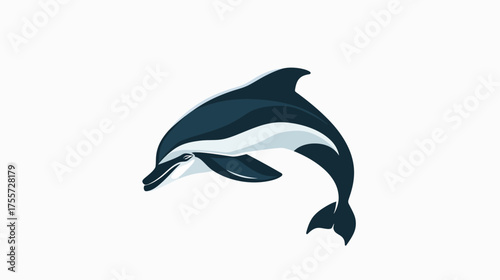Sleek, dark and light blue dolphin leaping mid-air on white background