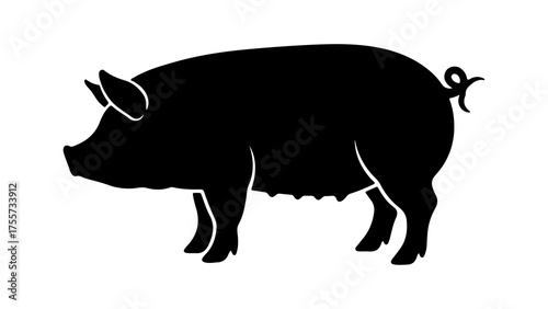 Black pig silhouette with transparent background