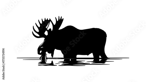 Moose drinking water with transparent background
