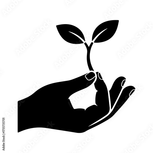Hand holding sprout with transparent background