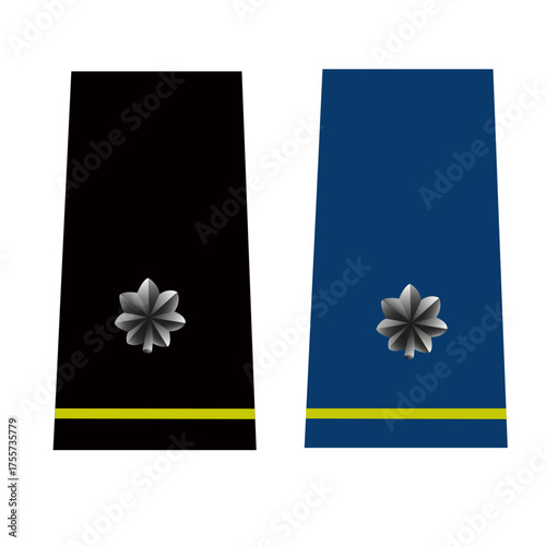 Galon de passant d'épaule et de manche de l'armée de terre et de l'air de l'armée américaine : lieutenant-colonel