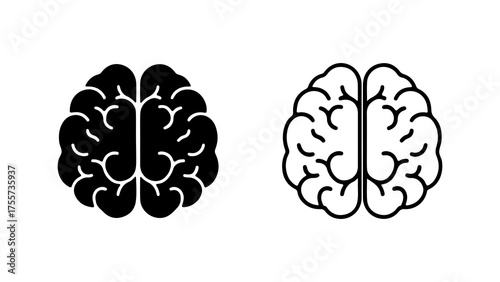 Brain anatomy outline and solid with transparent background