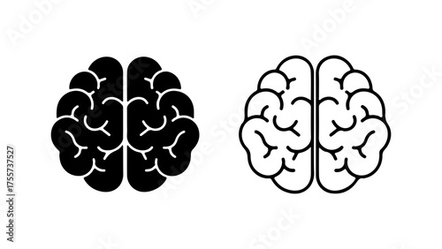 Brain anatomy outline and solid with transparent background