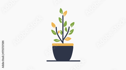A potted plant with green and yellow leaves on a white background