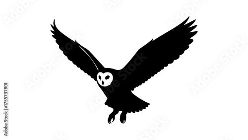 Barn owl in flight with transparent background