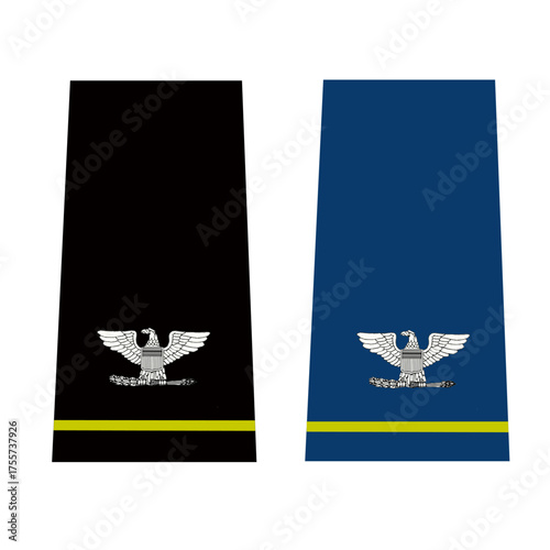 Galon de passant d'épaule et de manche de l'armée de terre et de l'air de l'armée américaine : Colonel