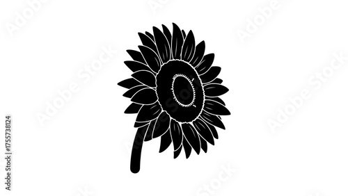 Black sunflower with transparent background