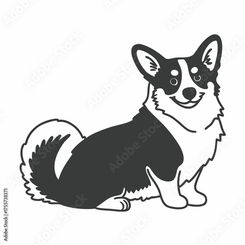 welsh corgi breed dog sitting on a white background