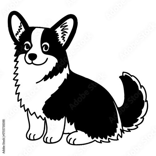 welsh corgi breed dog sitting on a white background