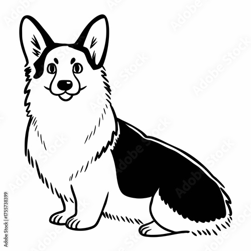 welsh corgi breed dog sitting on a white background